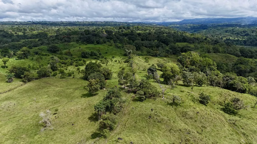 Finca Agro sostenible en Chiriqui, Bugaba, 136.4 hectáreas
