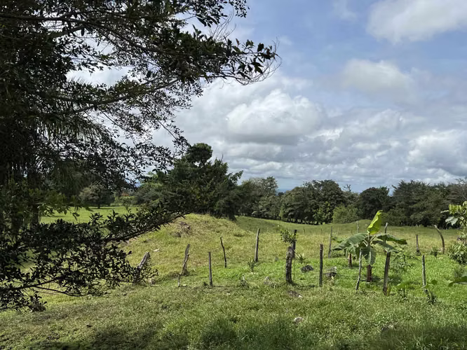 Finca Agro sostenible en Chiriqui, Bugaba, 136.4 hectáreas