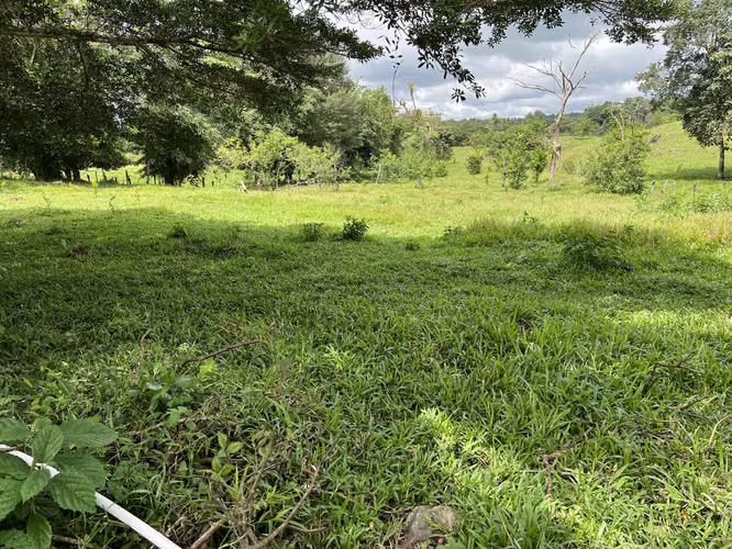 Finca Agro sostenible en Chiriqui, Bugaba, 136.4 hectáreas