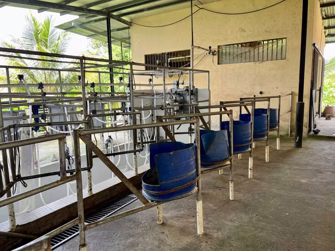 Finca Agro sostenible en Chiriqui, Bugaba, 136.4 hectáreas