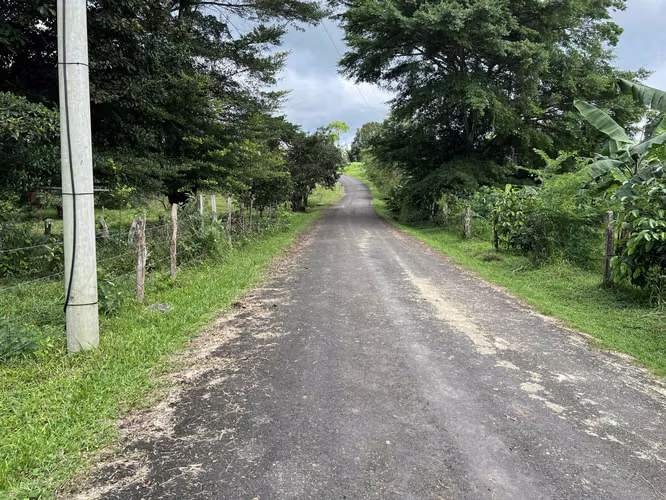 Finca Agro sostenible en Chiriqui, Bugaba, 136.4 hectáreas