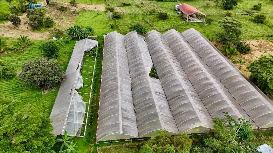 Finca Agro sostenible en Chiriqui, Bugaba, 136.4 hectáreas