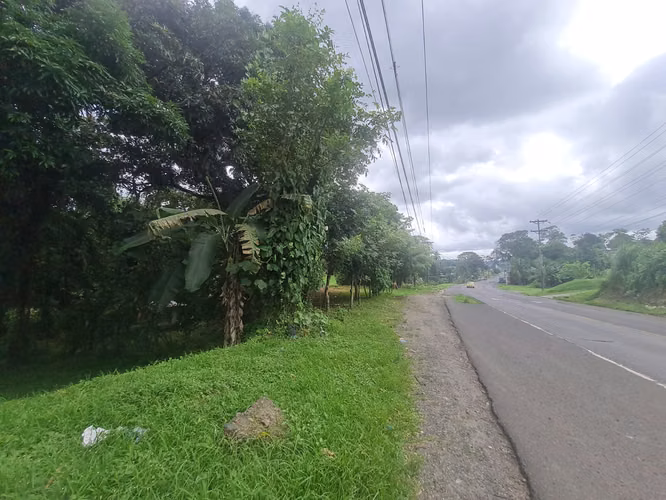 CHILIBRE VENDO LOTE COMERCIAL 3796 m2 Transistmica Boyd Rossevelt