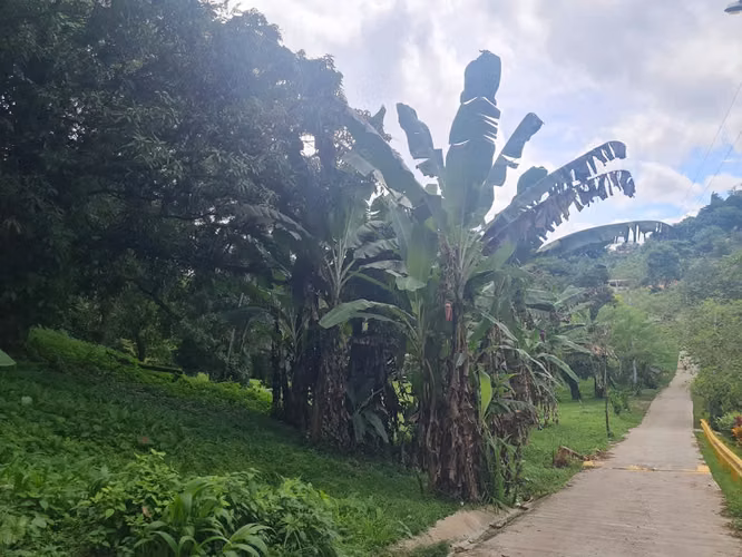 CHILIBRE VENDO LOTE COMERCIAL 3796 m2 Transistmica Boyd Rossevelt