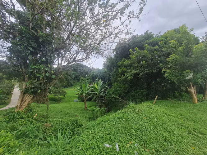 CHILIBRE VENDO LOTE COMERCIAL 3796 m2 Transistmica Boyd Rossevelt