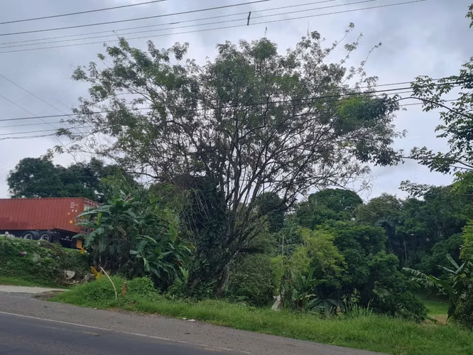CHILIBRE VENDO LOTE COMERCIAL 3796 m2 Transistmica Boyd Rossevelt
