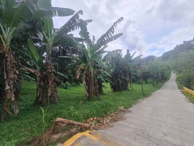 CHILIBRE VENDO LOTE COMERCIAL 3796 m2 Transistmica Boyd Rossevelt