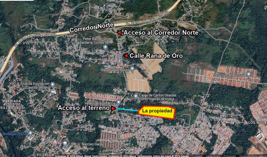 Se Vende Lote en Rana de Oro Pedregal - Imagen 2