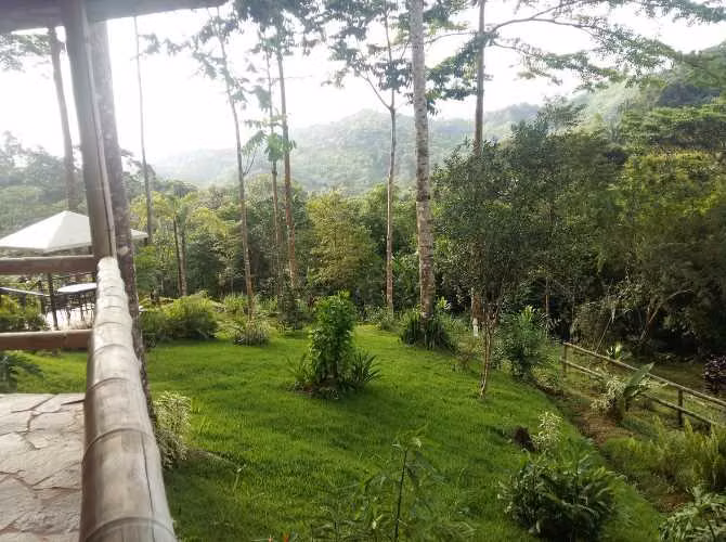 Venta de Propiedad en Chiguirí Arriba, Coclé, 20 hectáreas
