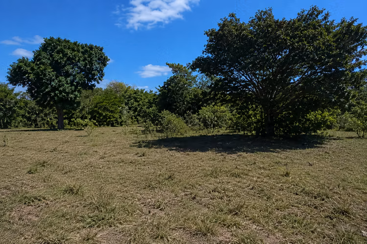 Venta de Finca en Aguadulce Coclé, 111 hectárea