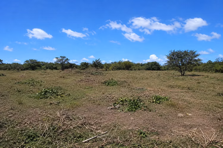 Venta de Finca en Aguadulce Coclé, 111 hectárea