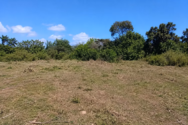 Venta de Finca en Aguadulce Coclé, 111 hectárea
