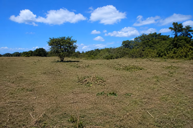 Farm for sale in Aguadulce Coclé, 111 hectares