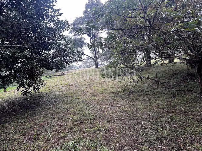 Se Vende Terreno Plano en Zona Alta de Altos del Maria