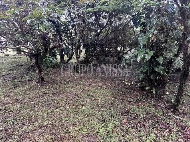 Se Vende Terreno Plano en Zona Alta de Altos del Maria