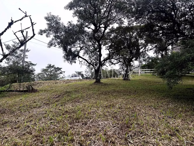 Se Vende Terreno Plano en Zona Alta de Altos del Maria