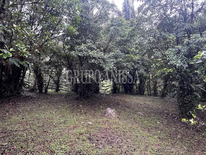 Se Vende Terreno Plano en Zona Alta de Altos del Maria