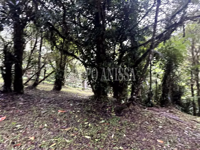 Se Vende Terreno Plano en Zona Alta de Altos del Maria