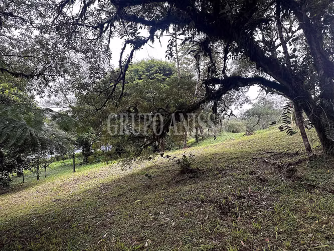 Se Vende Terreno Plano en Zona Alta de Altos del Maria