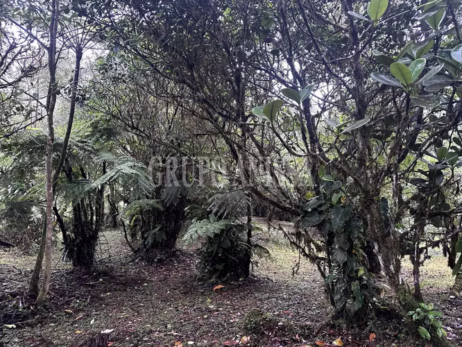 Se Vende Terreno Plano en Zona Alta de Altos del Maria