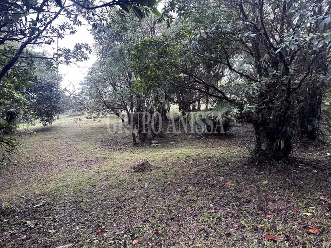 Se Vende Terreno Plano en Zona Alta de Altos del Maria