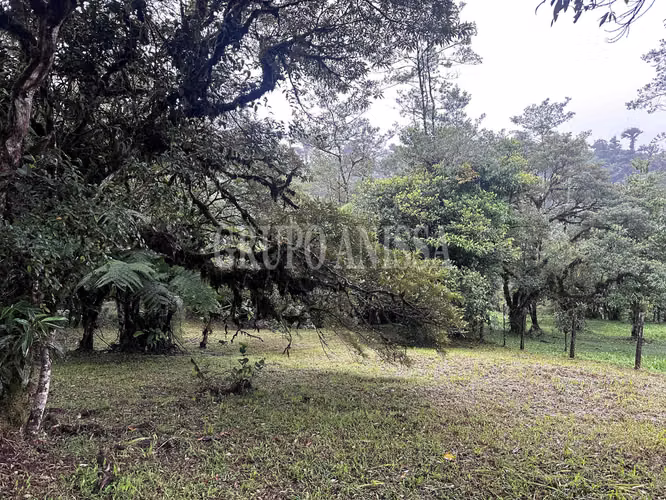 Se Vende Terreno Plano en Zona Alta de Altos del Maria