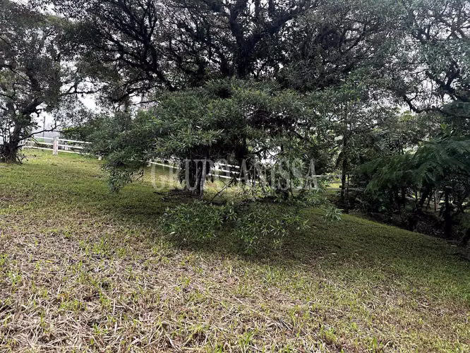 Se Vende Terreno Plano en Zona Alta de Altos del Maria