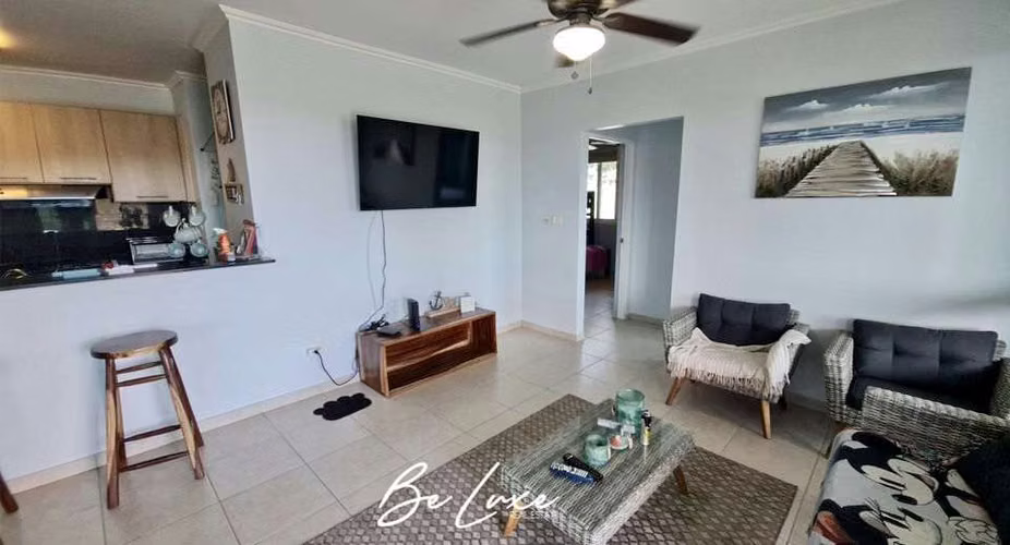 PH RODMAN APARTAMENTO DE PLAYA AMOBLADO EN VENTA, BIJAO (6)