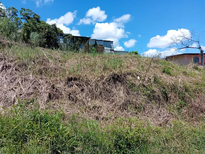 VENDO TERRENO PUEBLO NUEVO  EXCELENTE PARA TALLER O PROYECTO