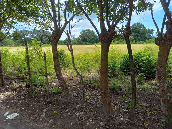 ALANJE CHIRIQUÌ TERRENO EN VENTA - Imagen 7