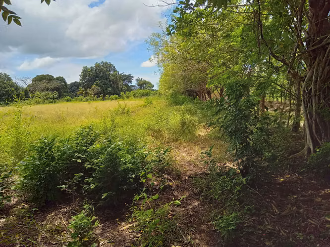 ALANJE CHIRIQUÌ TERRENO EN VENTA - Imagen 2