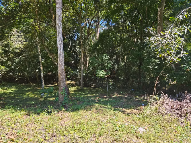 VENDO Terreno CHAPALA