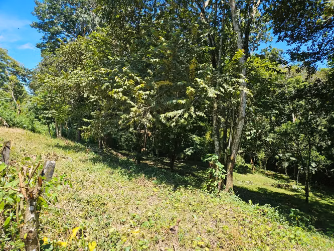 Land FOR SALE in CHAPALA
