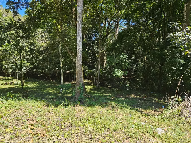 VENDO Terreno CHAPALA
