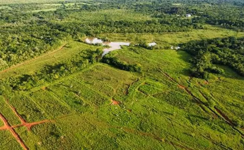 Venta de Finca en Chiriqui, San Lorenzo, Horconcito, 215 hectáreas