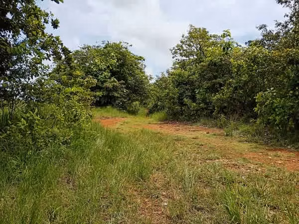 Venta de Finca en Chiriqui, San Lorenzo, Horconcito, 215 hectáreas