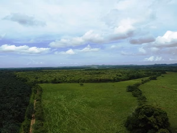 Venta de Finca en Chiriqui, San Lorenzo, Horconcito, 215 hectáreas
