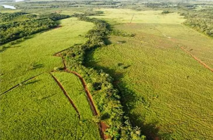 Venta de Finca en Chiriqui, San Lorenzo, Horconcito, 215 hectáreas