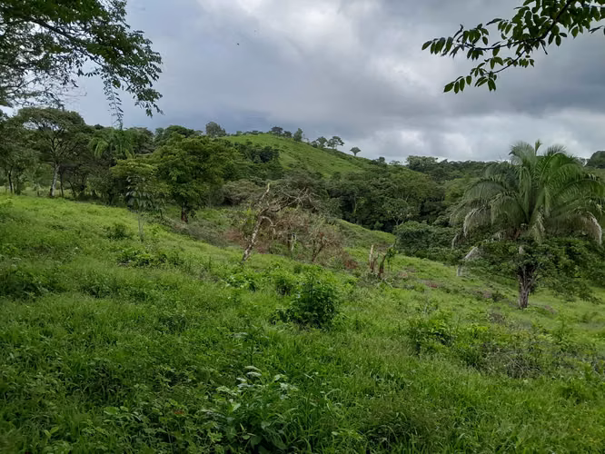SE VENDE FINCA GANADERA EN ALTOS DE CATECITO, VIA PIXBAE  (SONÁ).