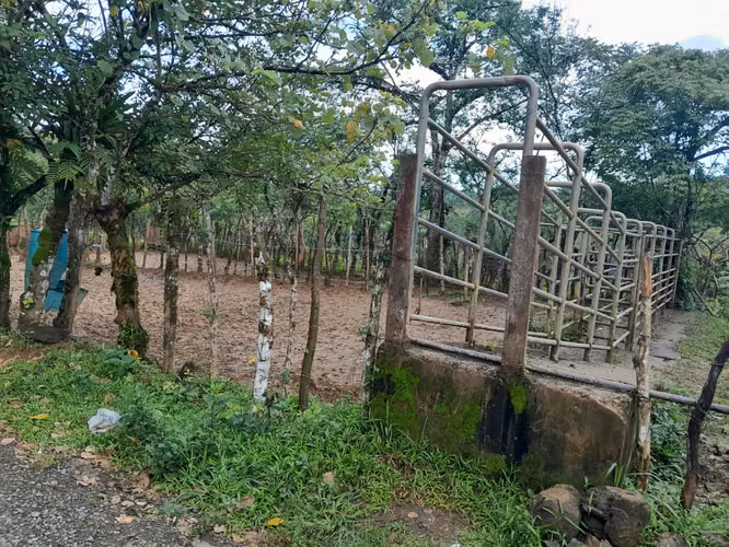 SE VENDE FINCA GANADERA EN ALTOS DE CATECITO, VIA PIXBAE  (SONÁ).