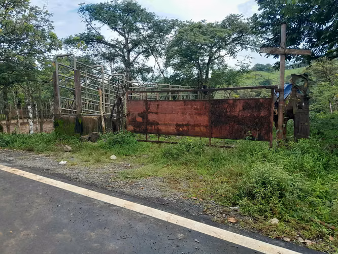 SE VENDE FINCA GANADERA EN ALTOS DE CATECITO, VIA PIXBAE  (SONÁ).