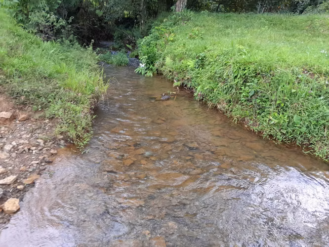 SE VENDE FINCA GANADERA EN ALTOS DE CATECITO, VIA PIXBAE  (SONÁ).