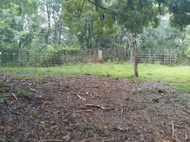 SE VENDE FINCA GANADERA EN ALTOS DE CATECITO, VIA PIXBAE  (SONÁ).