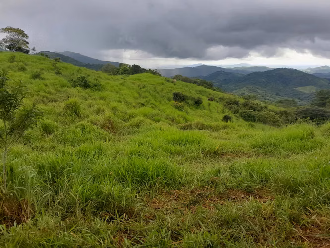 SE VENDE FINCA GANADERA EN ALTOS DE CATECITO, VIA PIXBAE  (SONÁ).