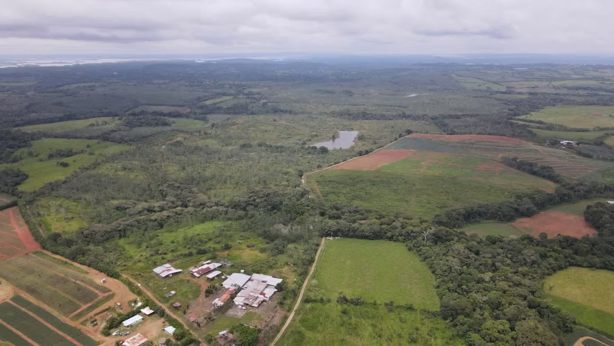 Banco Vende Finca de Piñas en  Chorrera - Imagen 5