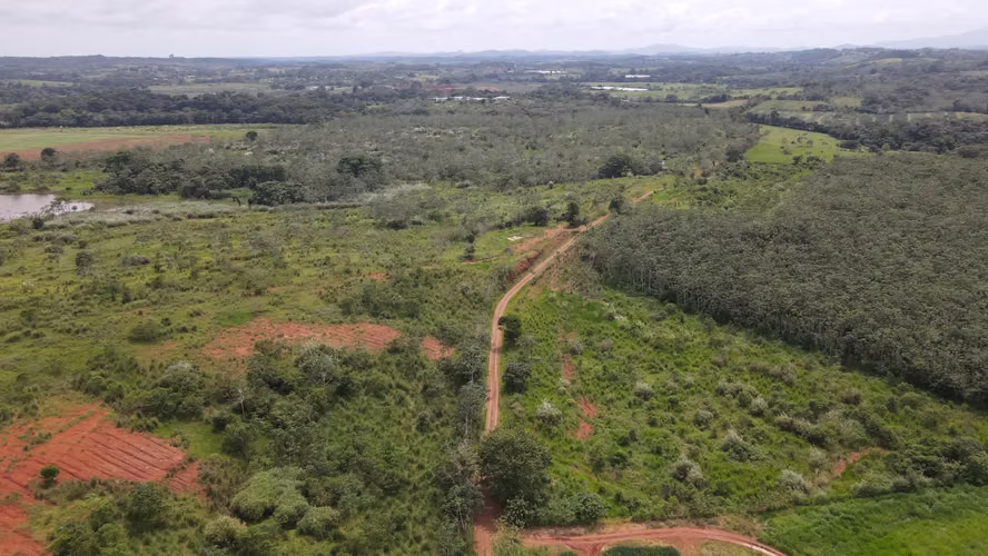 Banco Vende Finca de Piñas en  Chorrera - Imagen 6