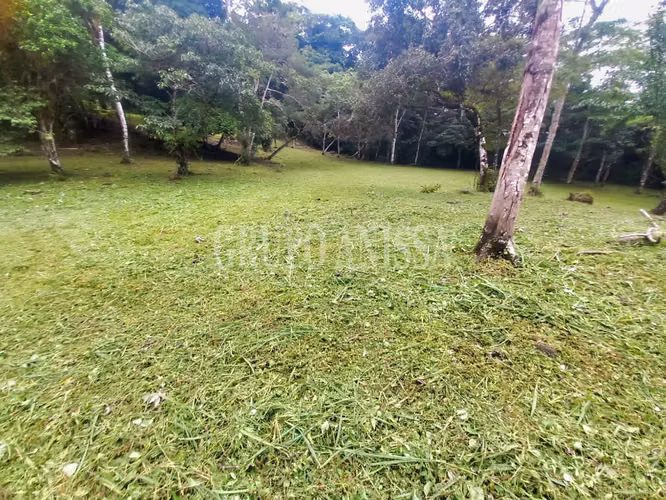 OPORTUNIDAD! Se Vende Terreno en Altos del Maria Zona Alta