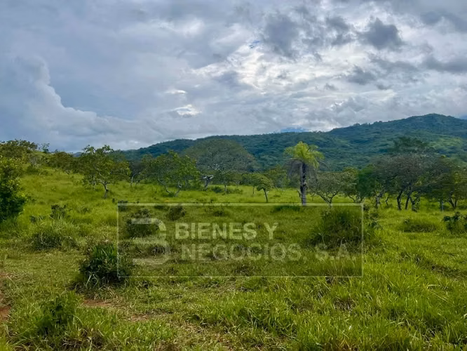 Finca en Chiriqui, Caldera 10.8 Hectáreas ,