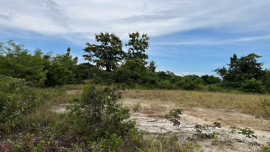 Venta de lote de terreno 2000 metros en Costa Esmeralda - Imagen 2