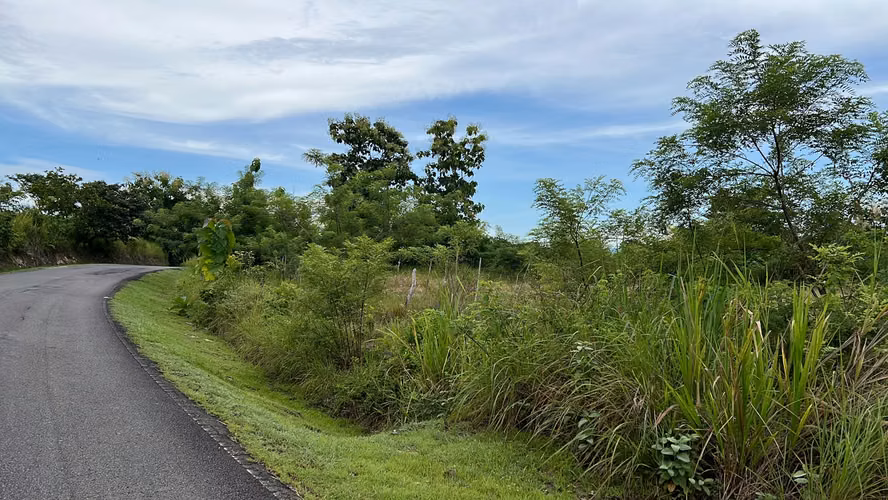 Venta de lote de terreno 2000 metros en Costa Esmeralda - Imagen 3